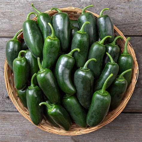 Black Magic Jalapeno: The Pepper that Casts a Spicy Spell